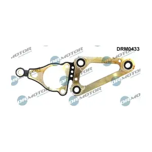 DRM0433 LIZARTE