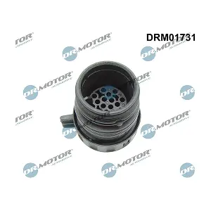 DRM01731 LIZARTE