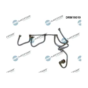 DRM18019 LIZARTE