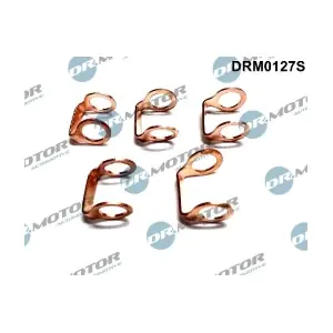 DRM0127S LIZARTE
