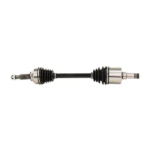 LIZARTE DS1105