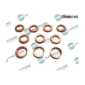 LIZARTE DRM0145