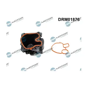 DRM01876 LIZARTE