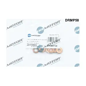 DRMP58 LIZARTE