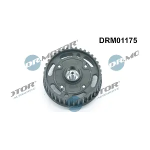 DRM01175 LIZARTE