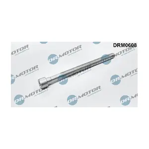 DRM0608 LIZARTE