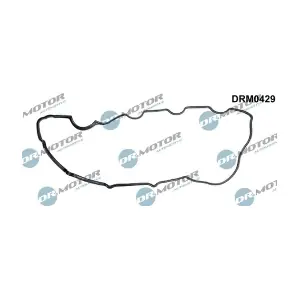 DRM0429 LIZARTE