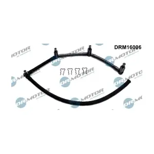 DRM16006 LIZARTE