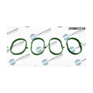 LIZARTE DRM0371S