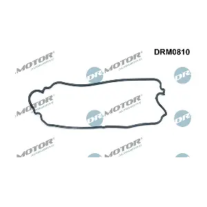 LIZARTE DRM0810