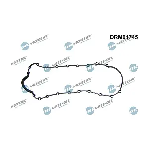 DRM01745 LIZARTE