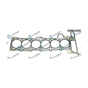 DRM22206 LIZARTE
