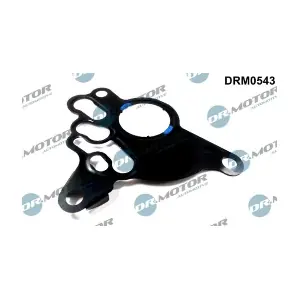DRM0543 LIZARTE