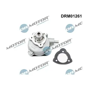 DRM01261 LIZARTE