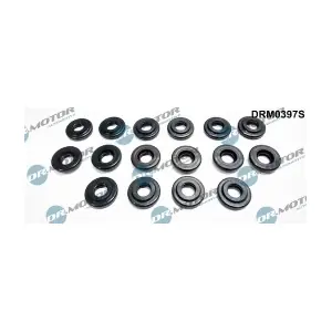 DRM0397S LIZARTE