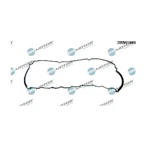 DRM01668 LIZARTE