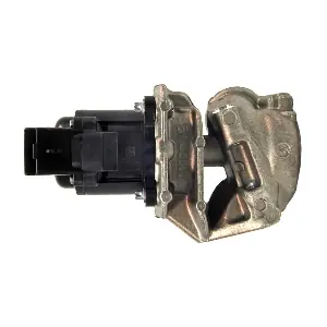 EGR018 LIZARTE