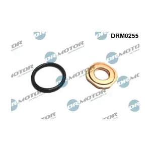 DRM0255 LIZARTE