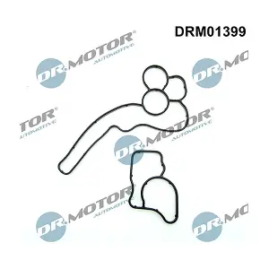 DRM01399 LIZARTE