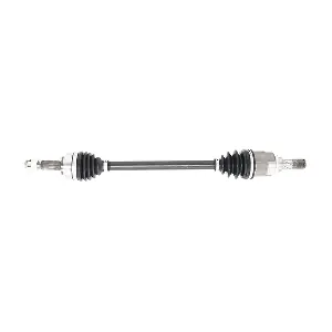 DS1504 LIZARTE