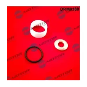 DRM0388 LIZARTE