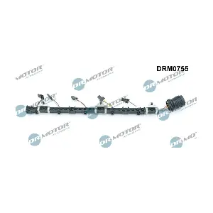 DRM0755 LIZARTE
