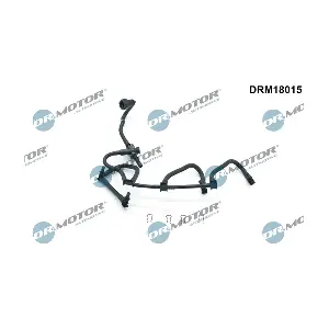 DRM18015 LIZARTE