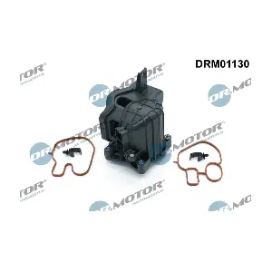 DRM01130 LIZARTE