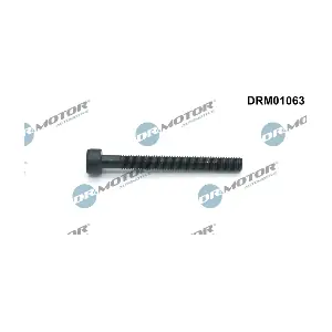 DRM01063 LIZARTE