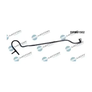 DRM61502 LIZARTE