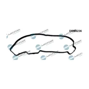 DRM0236 LIZARTE