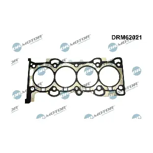 DRM62021 LIZARTE