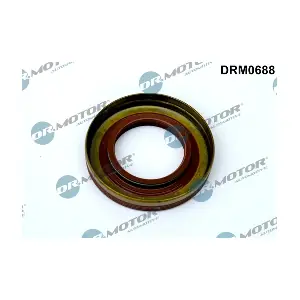 DRM0688 LIZARTE