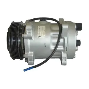 240343 LIZARTE