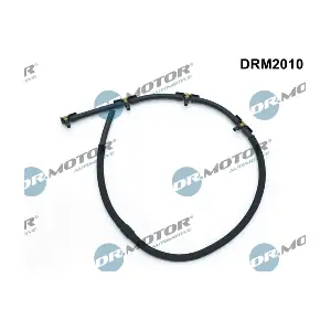 DRM2010 LIZARTE