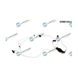 LIZARTE DRM18531