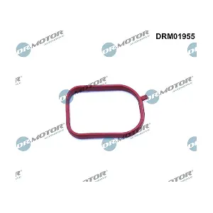 DRM01955 LIZARTE