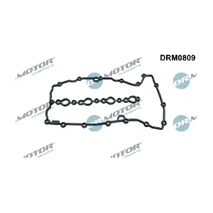 DRM0809 LIZARTE
