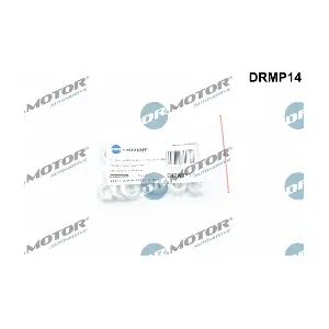 DRMP14 LIZARTE
