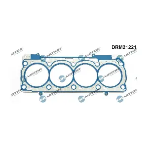 DRM21221 LIZARTE