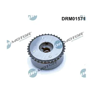 DRM01571 LIZARTE