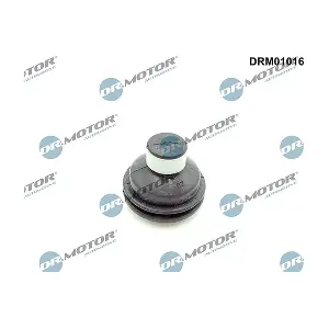 DRM01016 LIZARTE