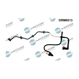 DRM6013 LIZARTE