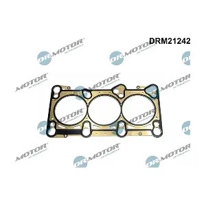 DRM21242 LIZARTE