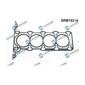 DRM15214 LIZARTE