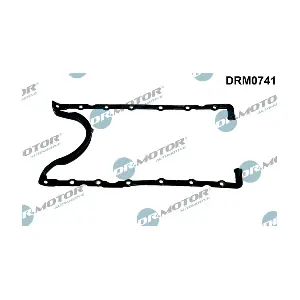 DRM0741 LIZARTE