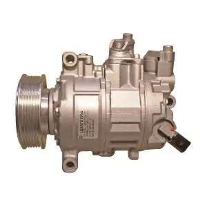 LIZARTE 810856005