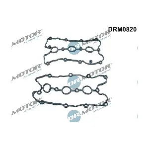 DRM0820 LIZARTE
