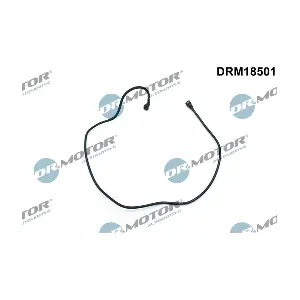 DRM18501 LIZARTE