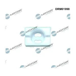 DRM01998 LIZARTE